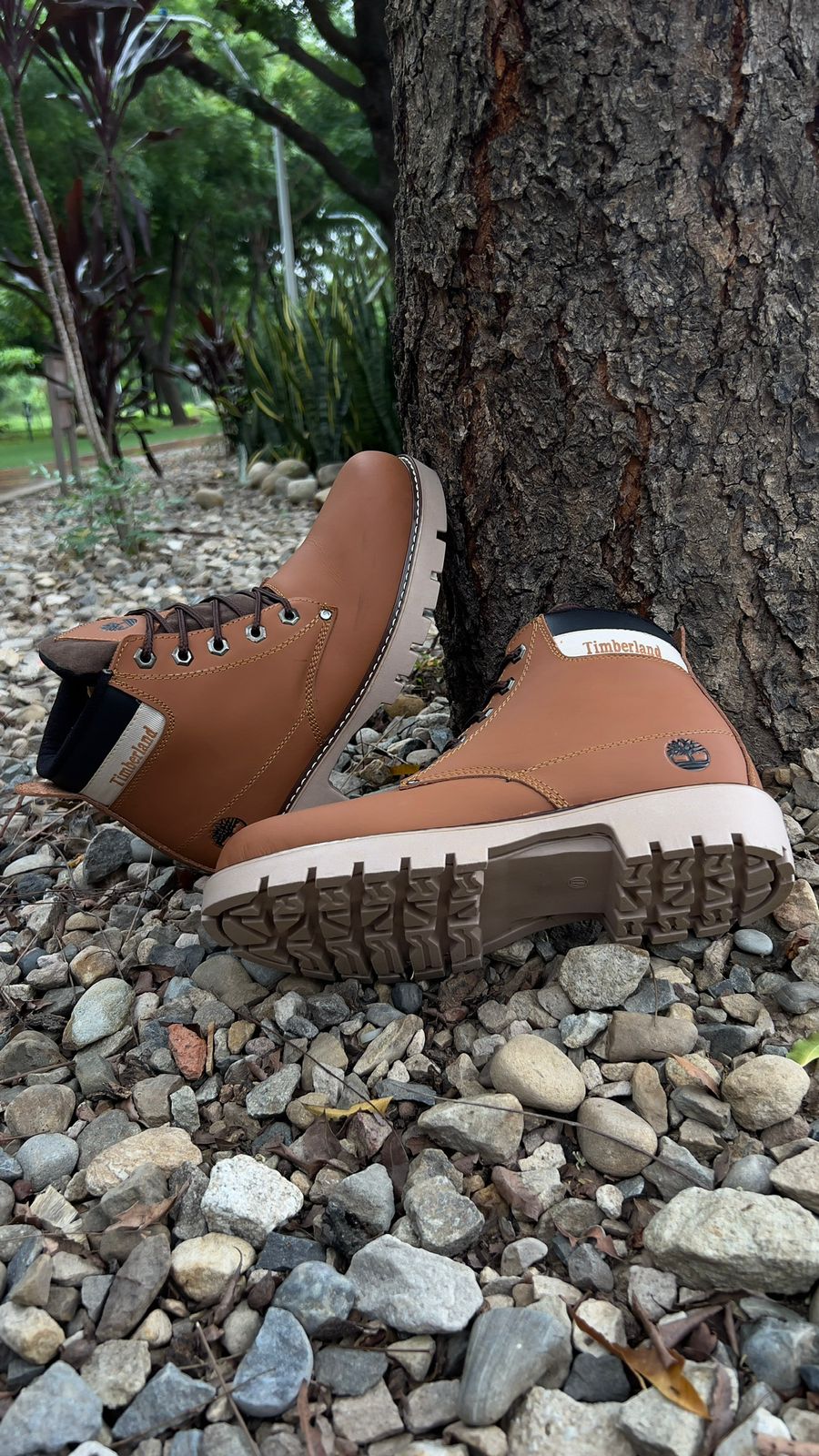 BOTIN TIMBERLAND RETRO CUERO + CAJA