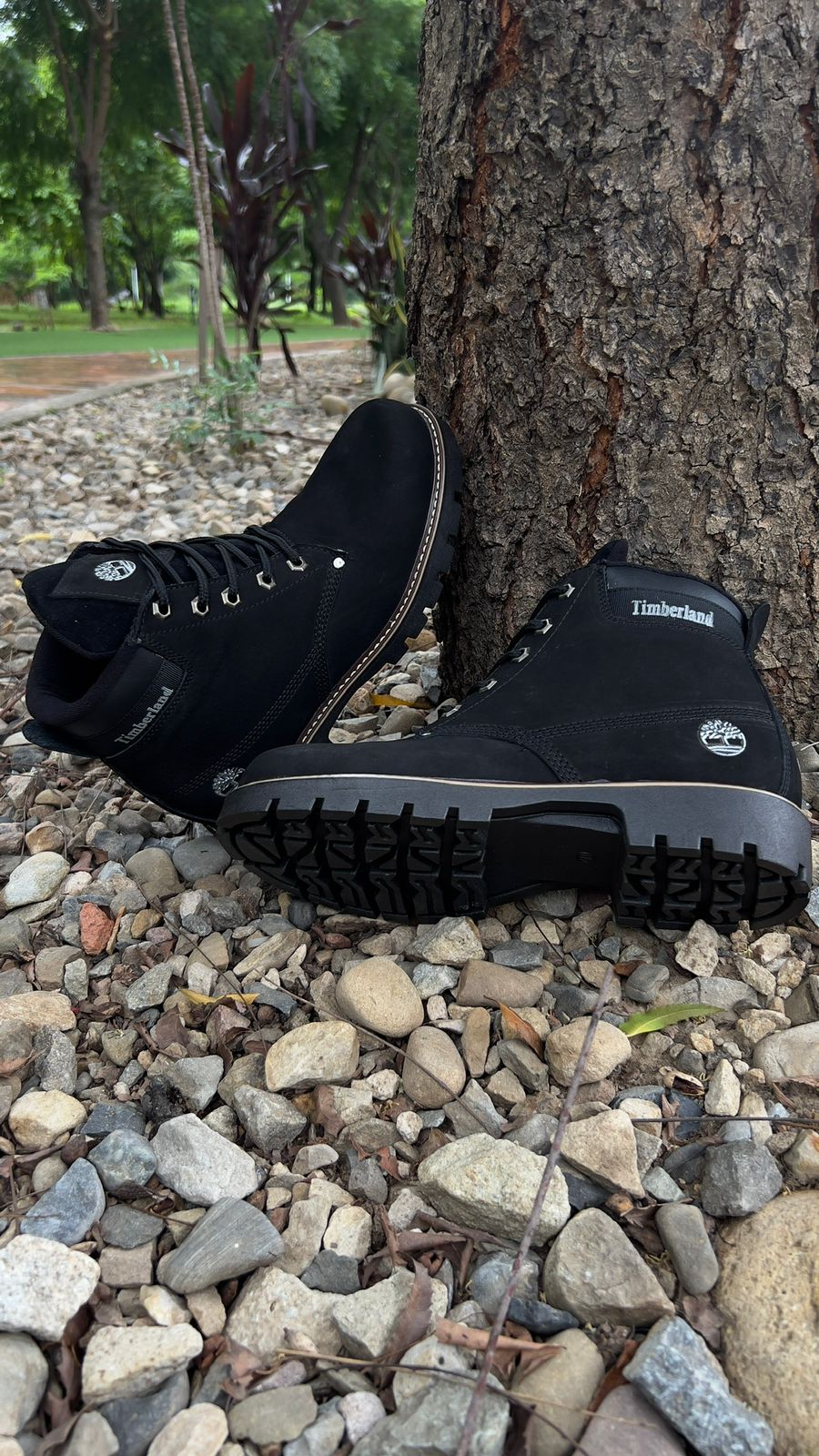 BOTIN TIMBERLAND RETRO CUERO + CAJA