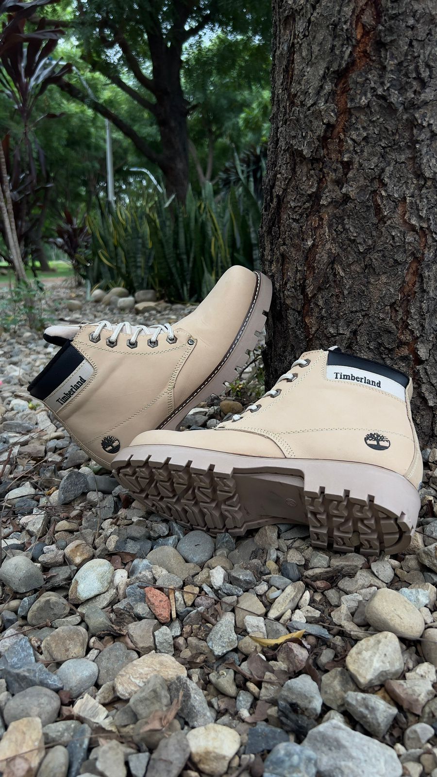 BOTIN TIMBERLAND RETRO CUERO + CAJA