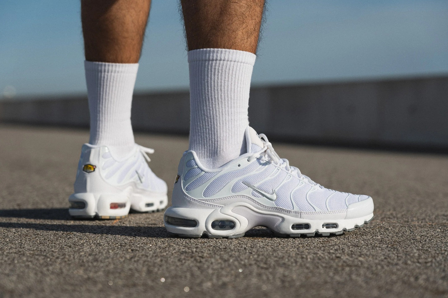 NIKE TN AIR MAX PLUS + CAJA