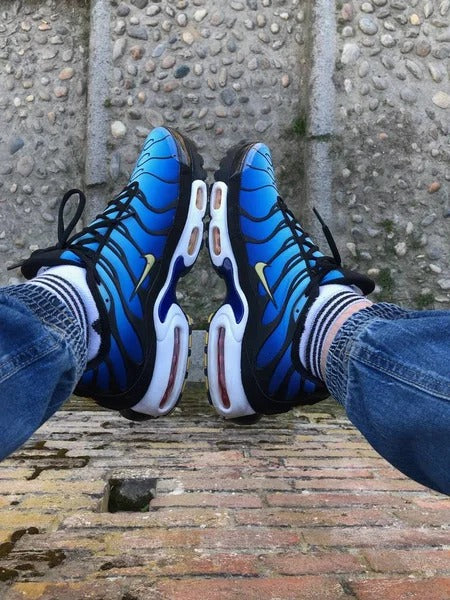NIKE TN AIR MAX PLUS + CAJA