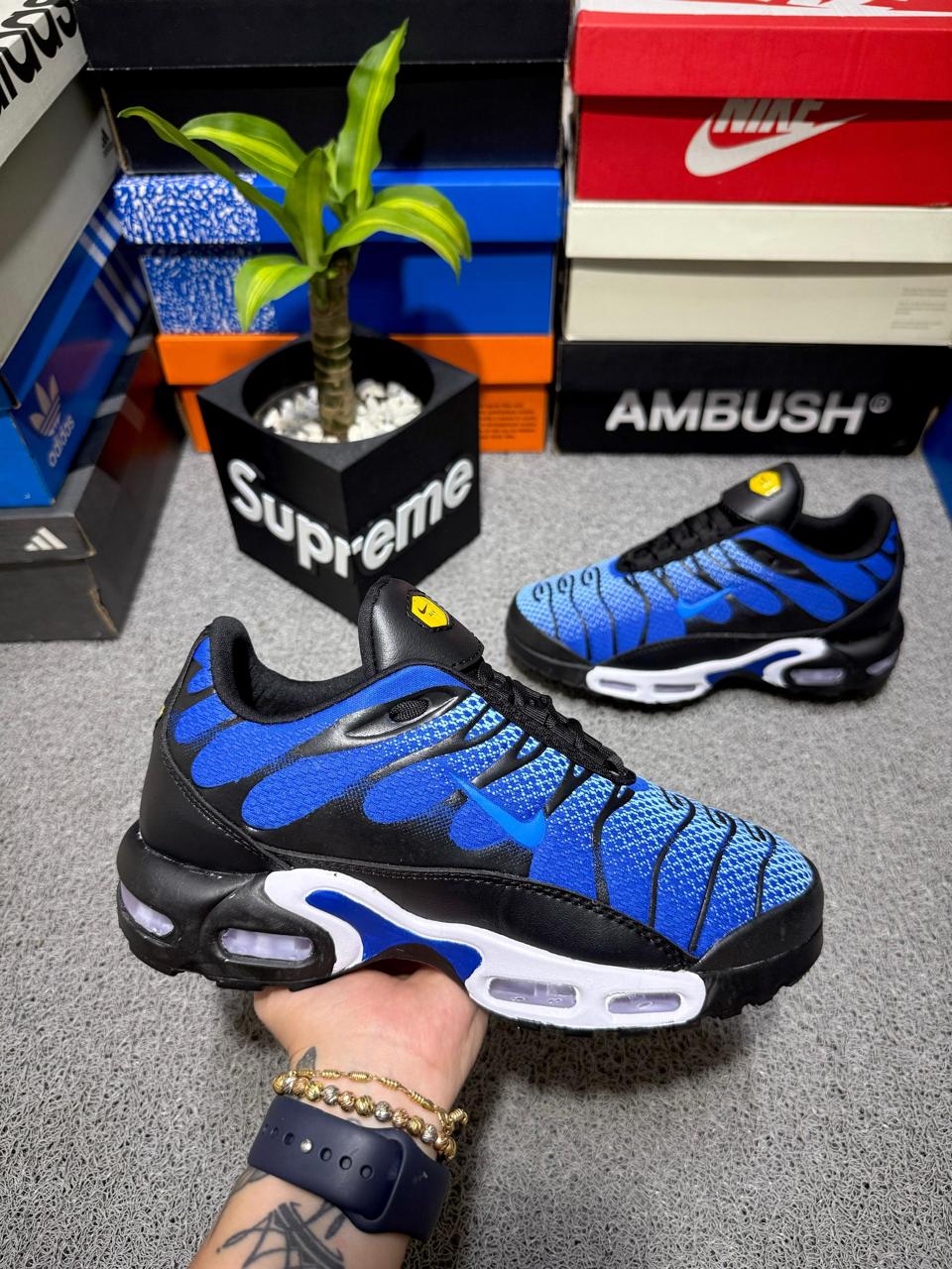 NIKE TN AIR MAX PLUS + CAJA