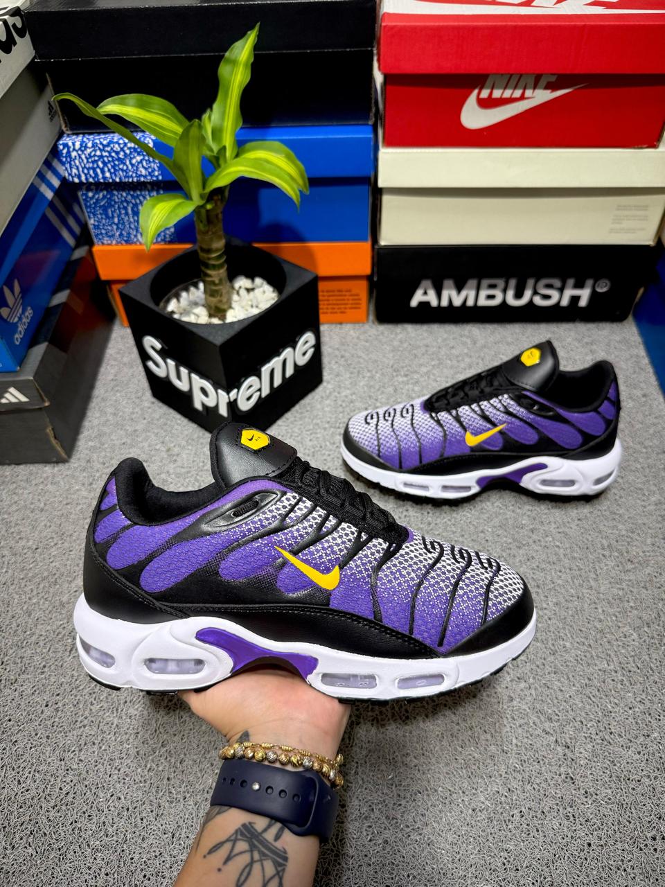 NIKE TN AIR MAX PLUS + CAJA
