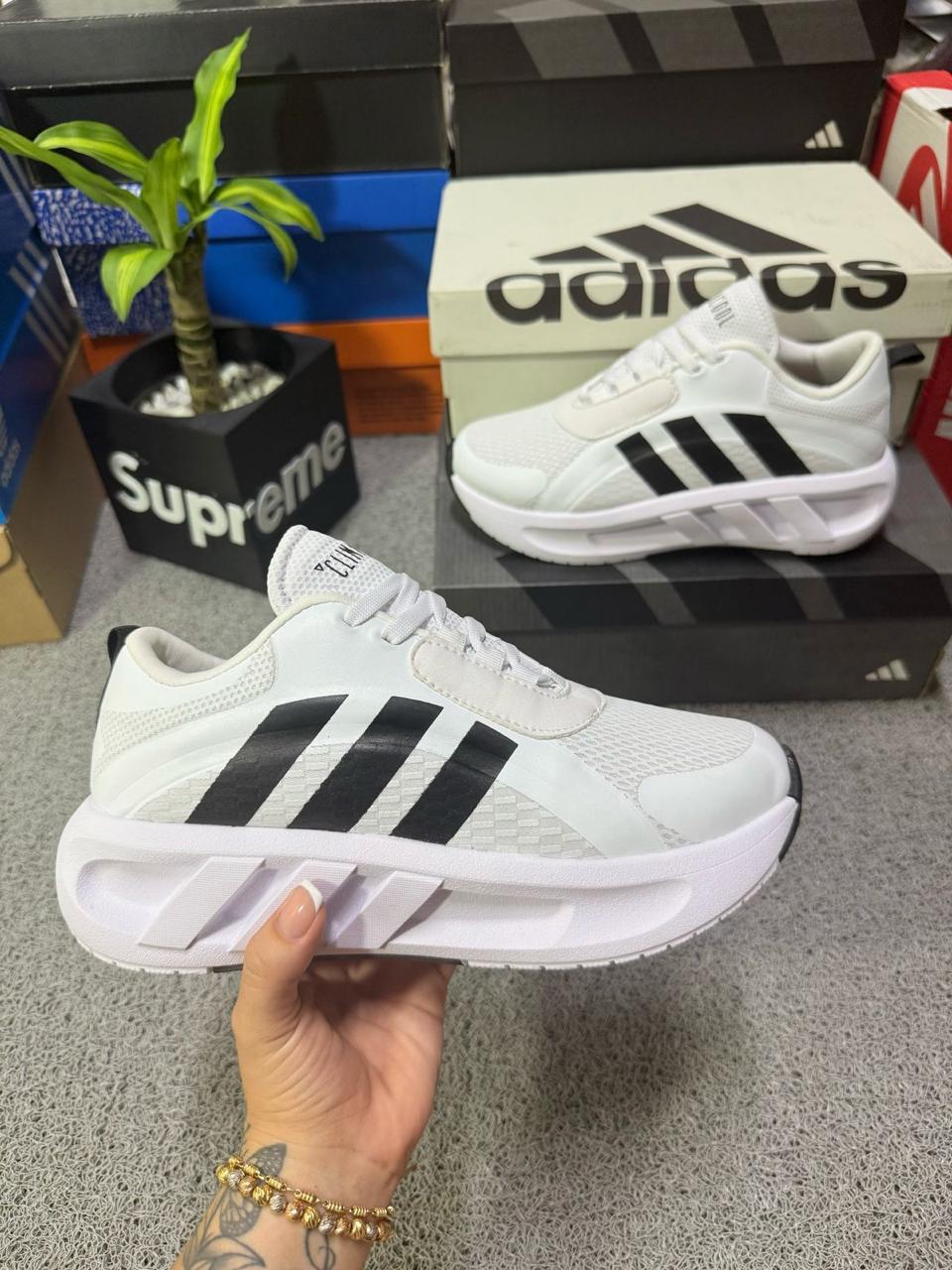 ADIDAS VENTADOR CLIMACOOL + CAJA