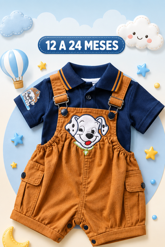 12 a 24 meses