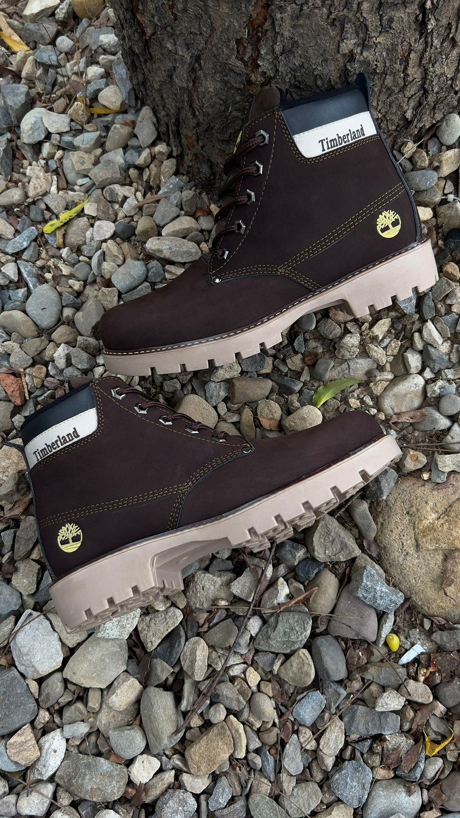 BOTIN TIMBERLAND RETRO CUERO  + CAJA