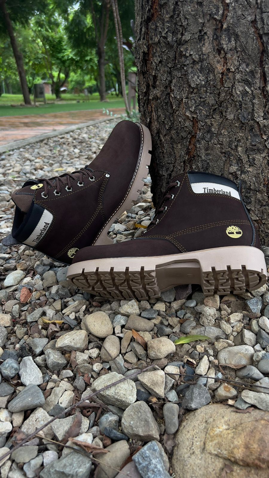 BOTIN TIMBERLAND RETRO CUERO  + CAJA
