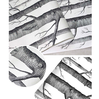Papel Adhesivo Para Pared VA-16887