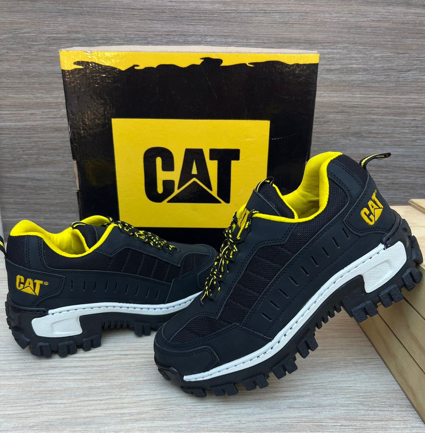 NUEVA COLECCIÓN CAT INTRUDER + CAJA