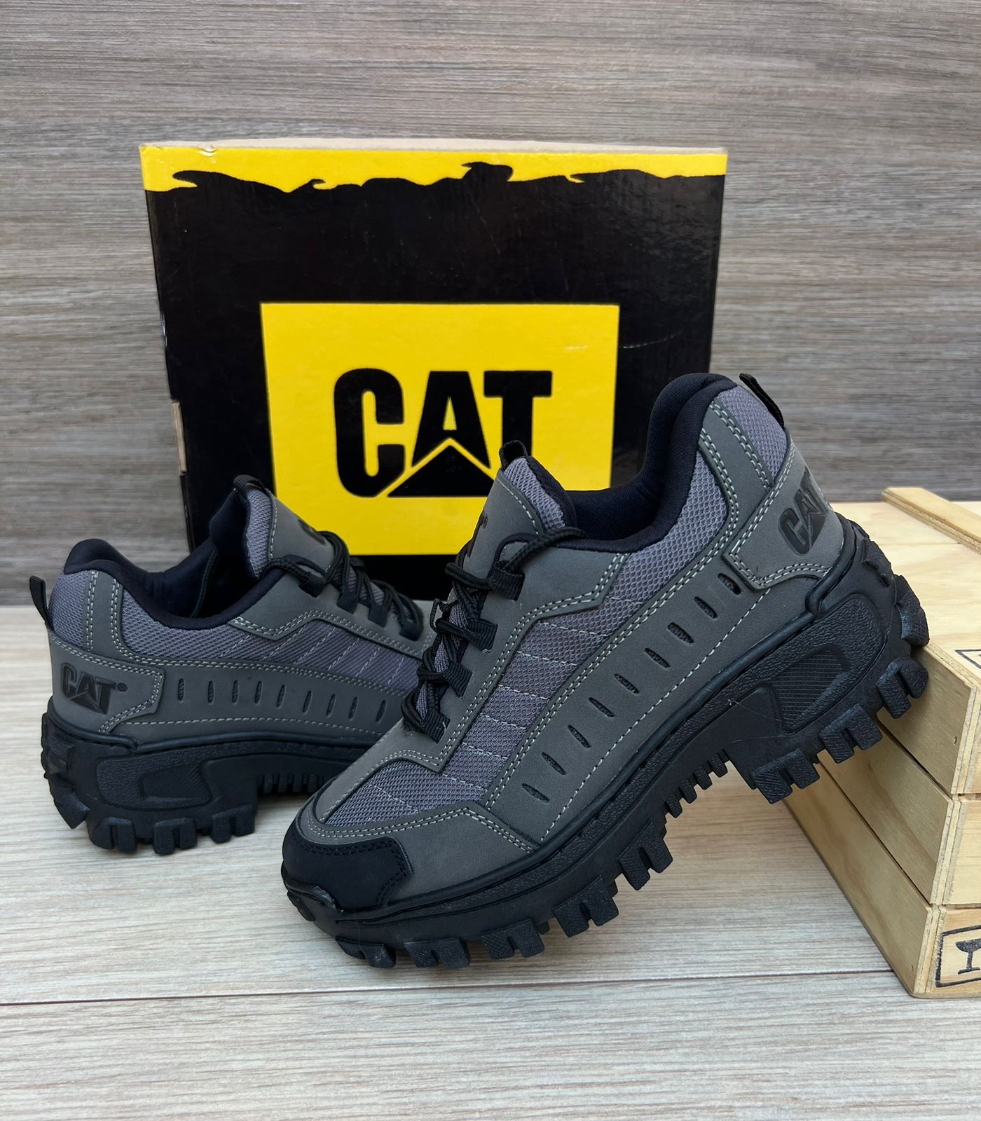 NUEVA COLECCIÓN CAT INTRUDER + CAJA