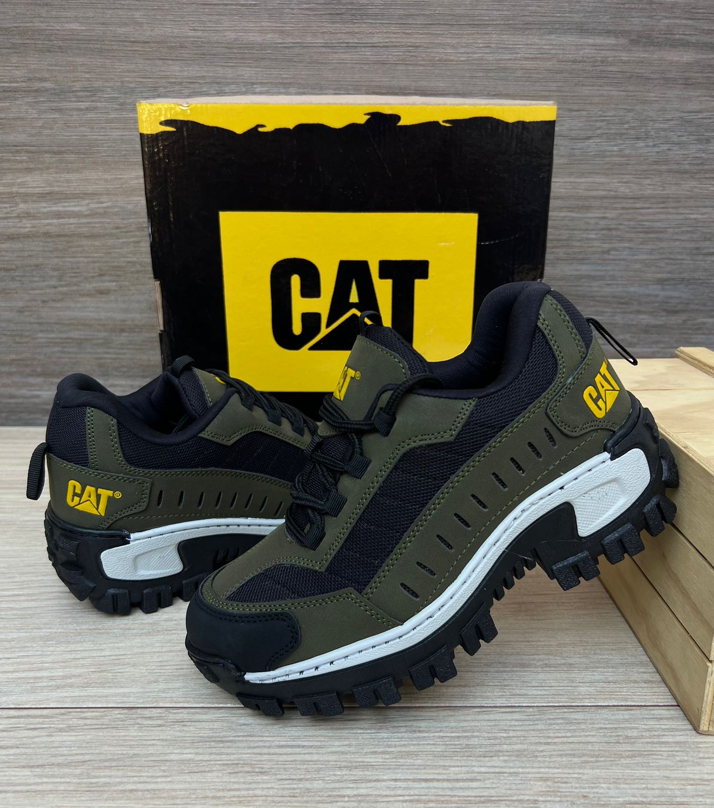 NUEVA COLECCIÓN CAT INTRUDER + CAJA