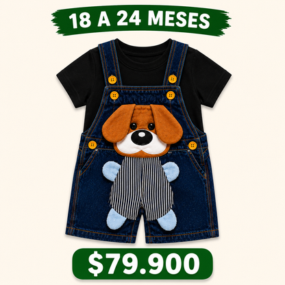 18 a 24 meses