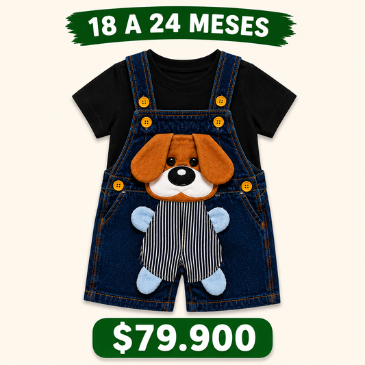 18 a 24 meses